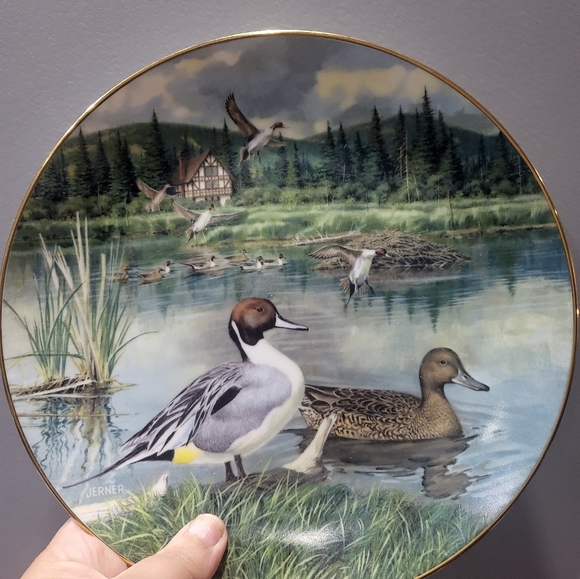 Decorative plates - Picture 5 of 5
